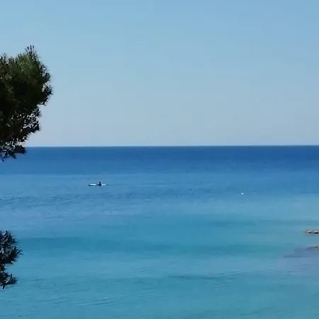 Jadranka Ivana Apartment *