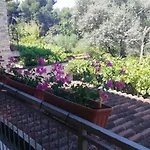 Jadranka Ivana Pula